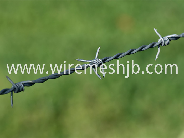 Barbed Wire Line